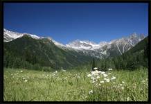 Rogers Pass