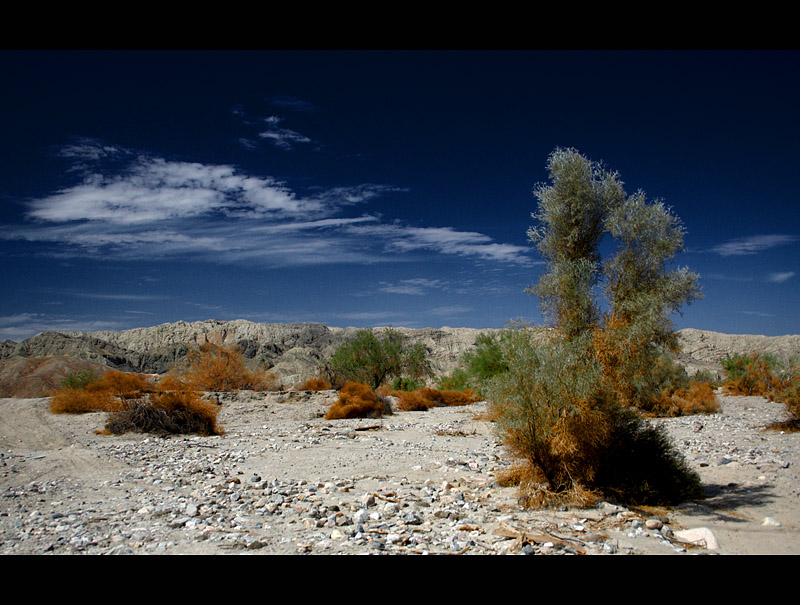 Anza Borrego