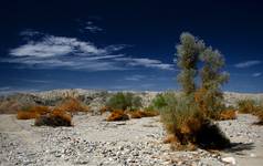 Anza Borrego