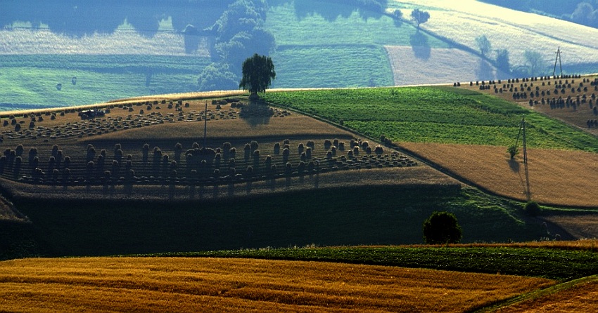 pożegnanie lata