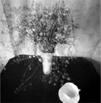 pinhole #1