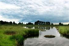 mazury