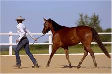 Western i rodeo