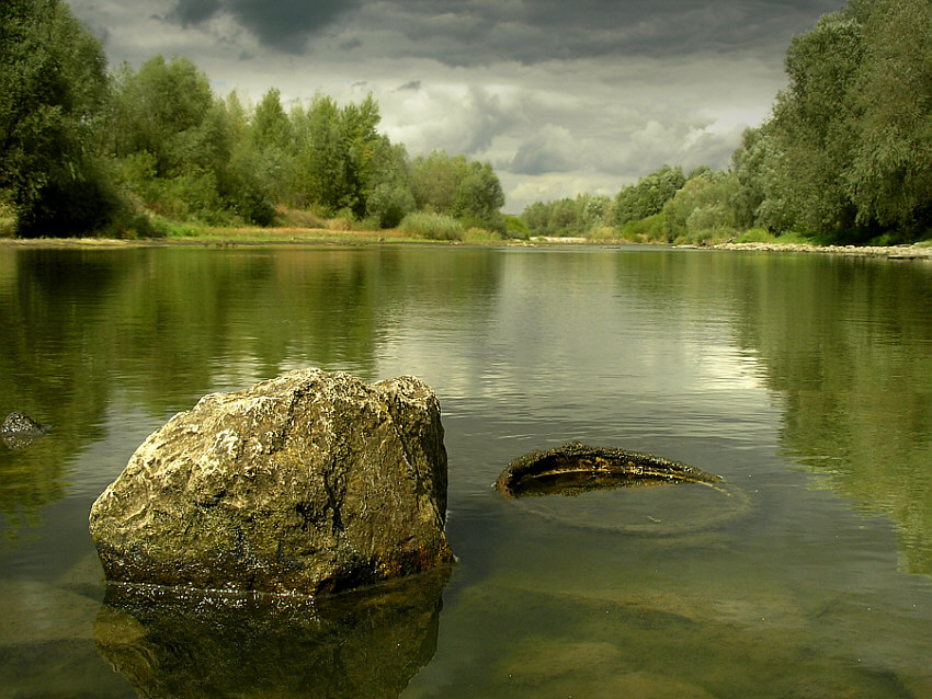 W Krainie Pierścienia