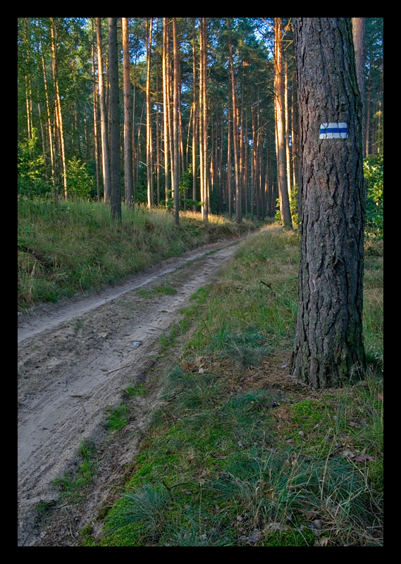 Niebieskim szlakiem