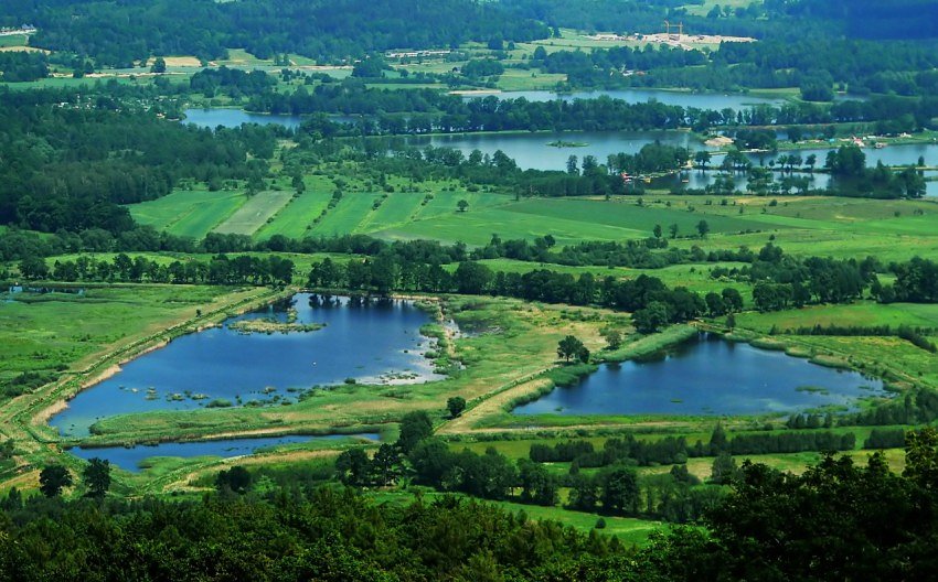 Stawy Podgórzyńskie