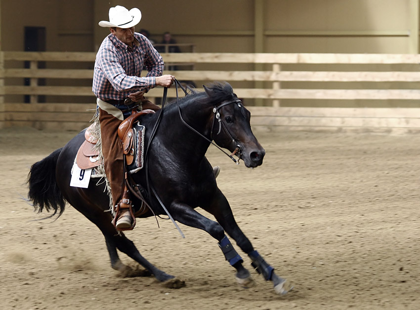 Mistrzostwa Polski American Quarter Horses 2007