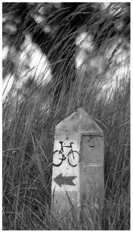 Bike Board