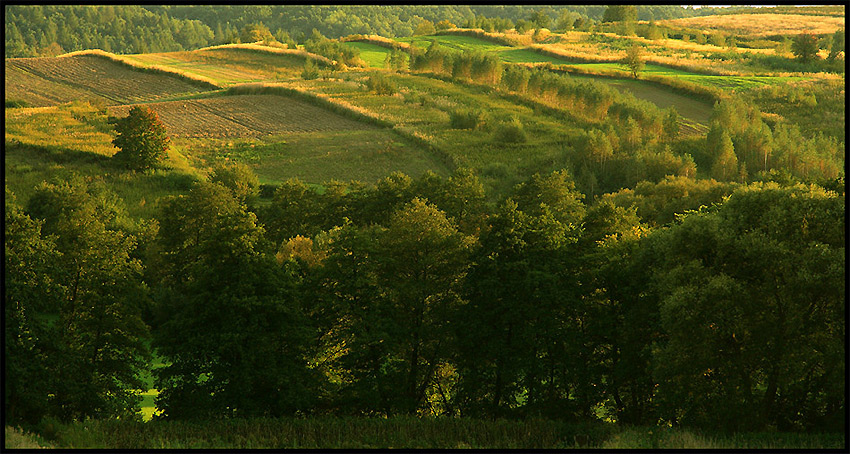 lubelskie wzgórza