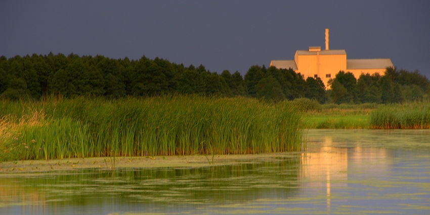 fabryka snów...