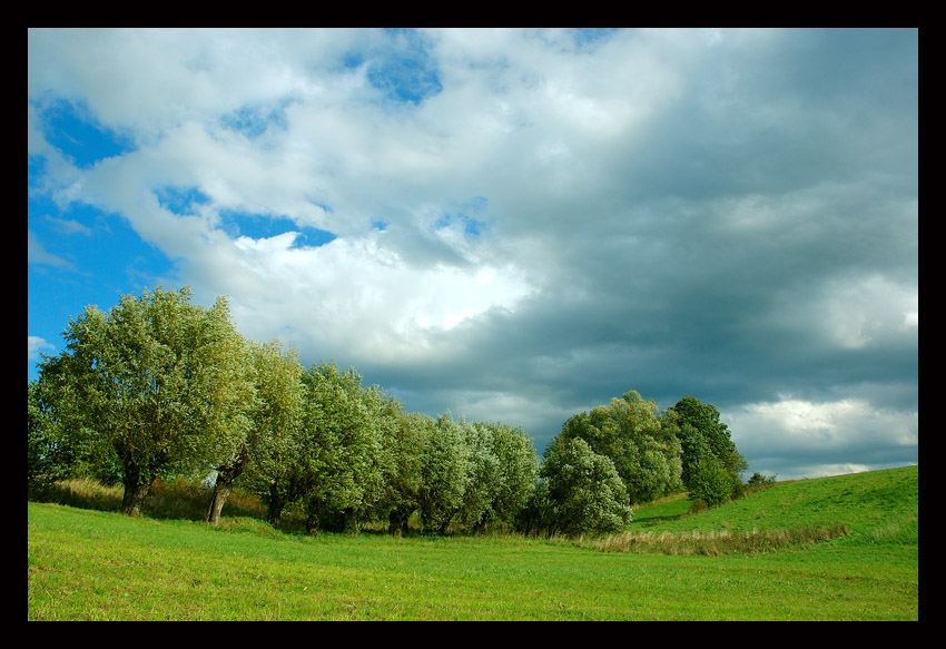 cisza przed burzą