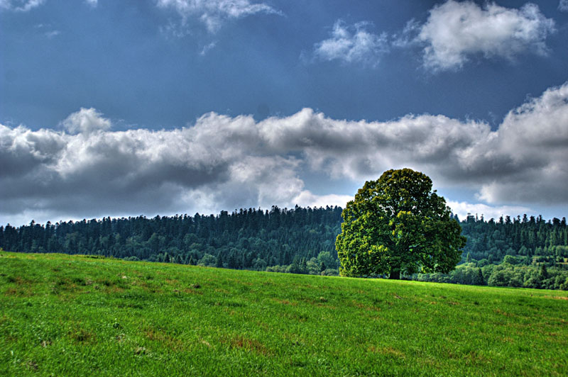 Moje Bieszczady vol 1