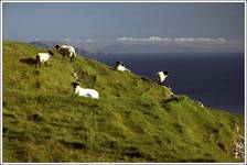 Achill Island