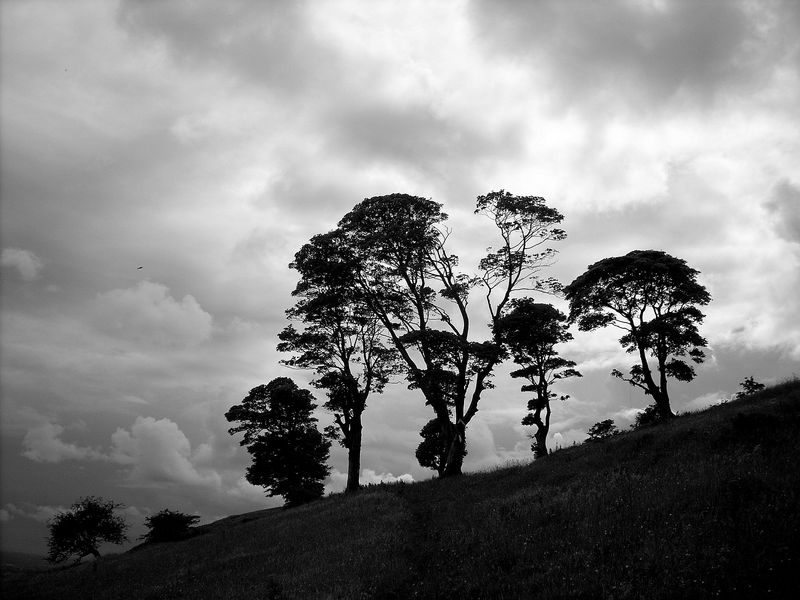 Belfast - Black Hill