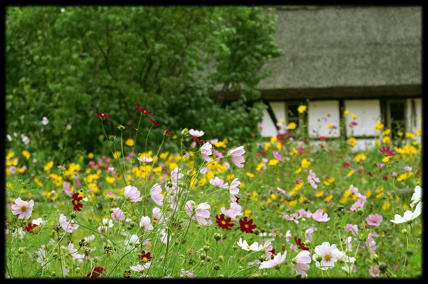 skansen