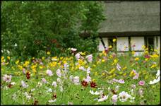 skansen