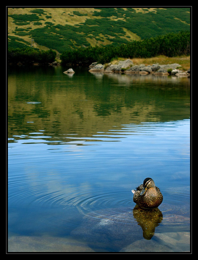 Tatry II