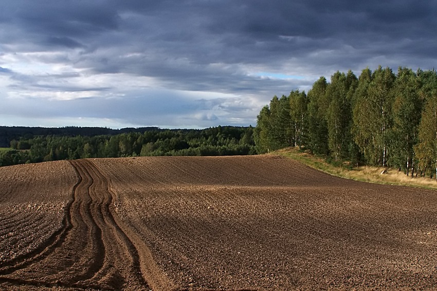 2/3 Kaszuby wrześniowe