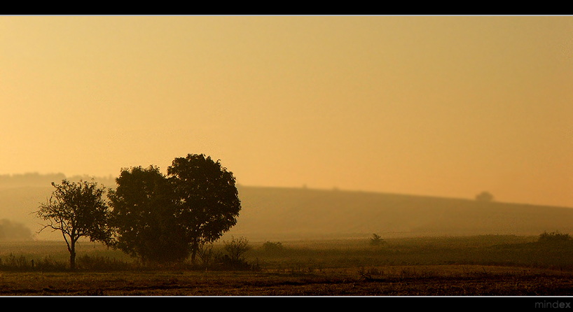 foggy morning