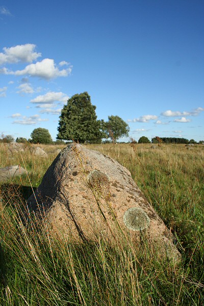 Głazowisko Rutka