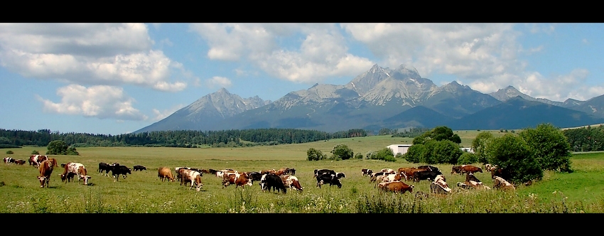 gdzieś na Słowacji