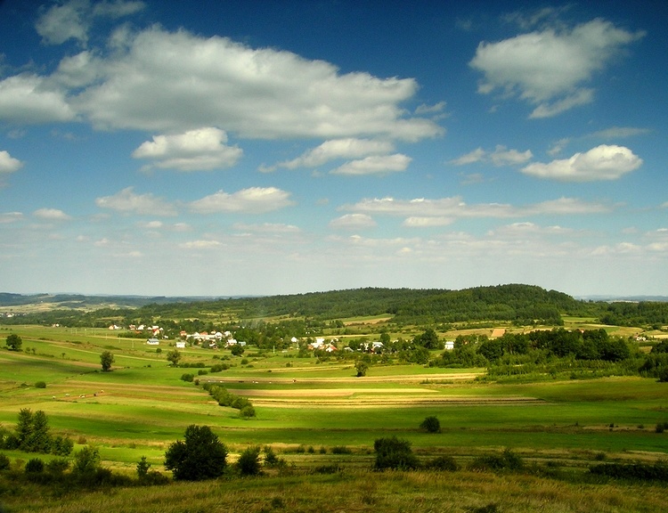 widoczki podkarpackie