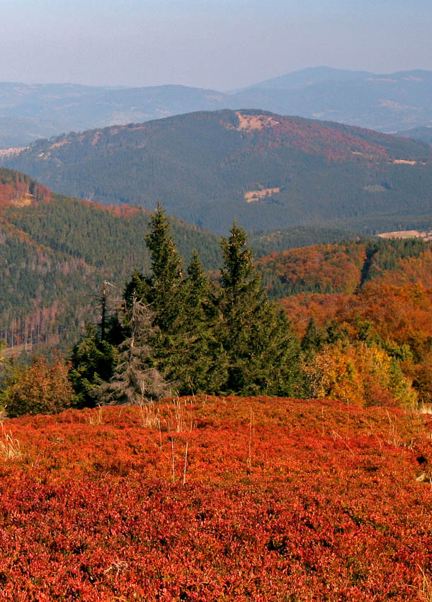 Beskid Żywiecki