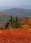 Beskid Żywiecki