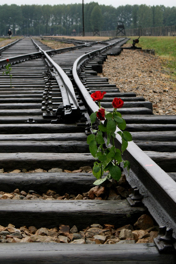 BIRKENAU