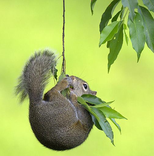 no to przechlapane....