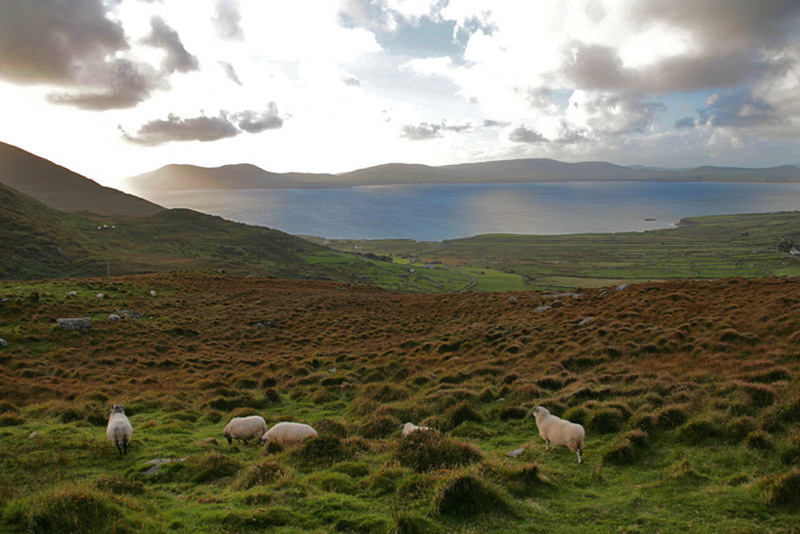 Ring Of Kerry, Ireland