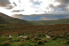 Ring Of Kerry, Ireland