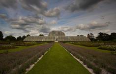 Royal Botanic Gardens, Kew