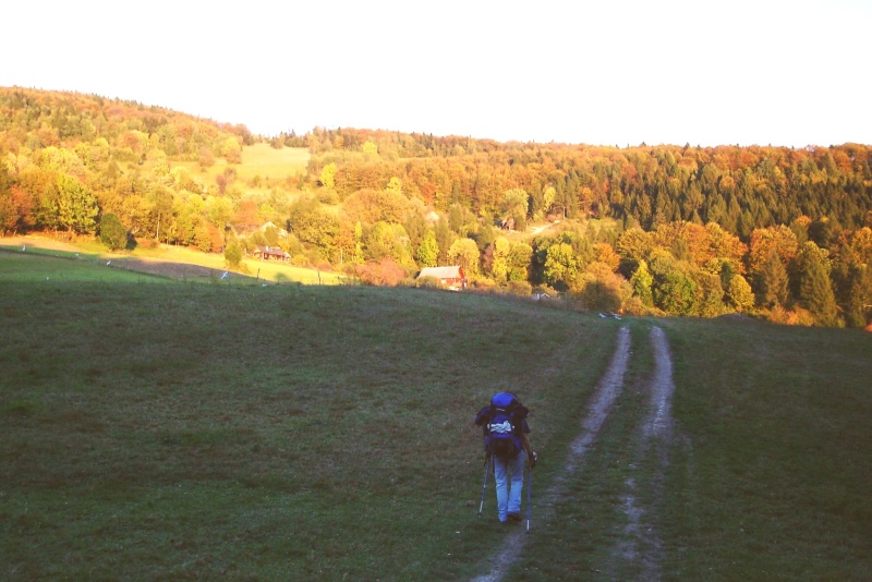 Odchodzi jesień , powolutku idzie Pani Zima......