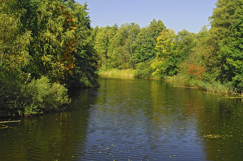 Mazury