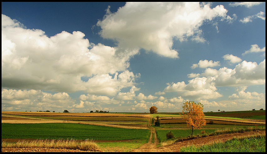 lubelszczyzna