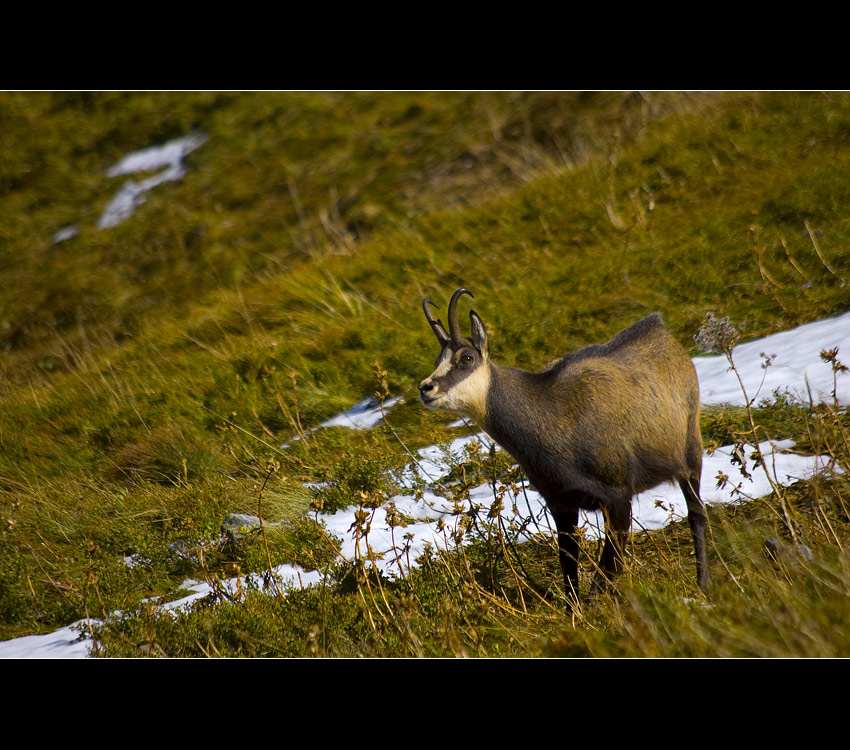 Tatry, wrzesień 2007