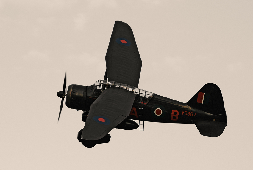 Lysander cz.2