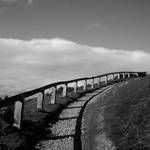 Dinas Bran