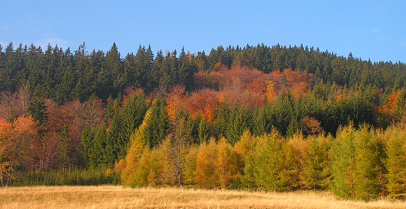 Jesień w Beskidach