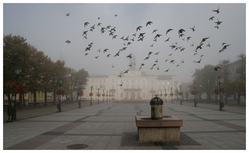 moje miasto