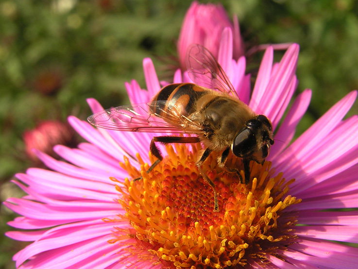 koniec lata