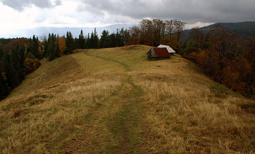 Hala Stokarki