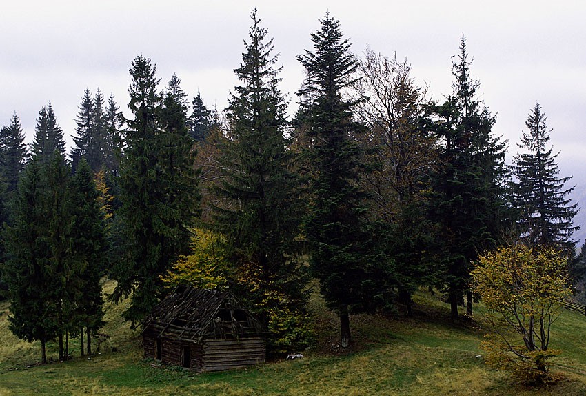 Pod Hala Łabowską