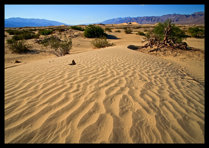 Death Valley waves...