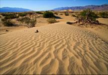 Death Valley waves...