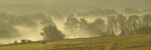 Mgiełka w panoramie.