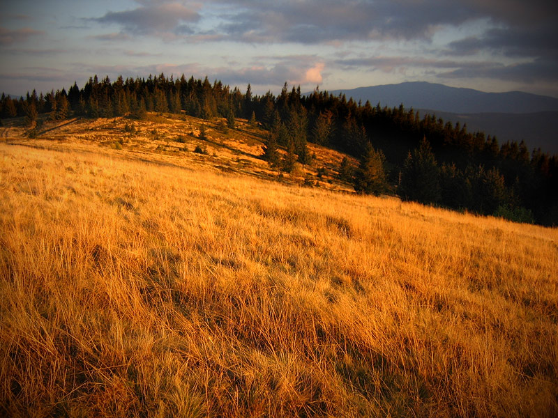 Beskidy jesienią