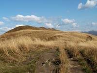 Bieszczady