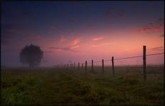 Pastuch nieelektryczny